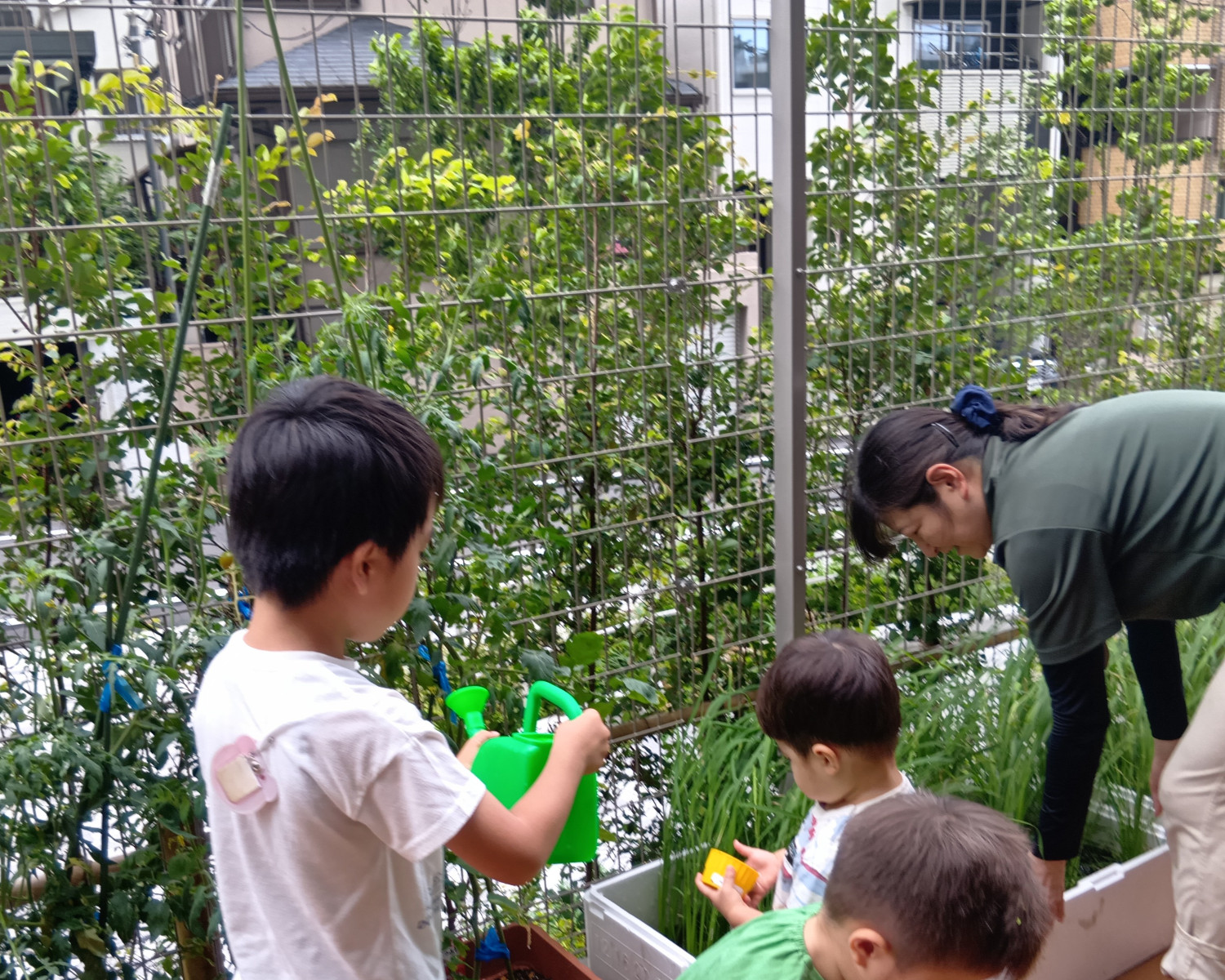 プランターに水をあげる子どもたち
