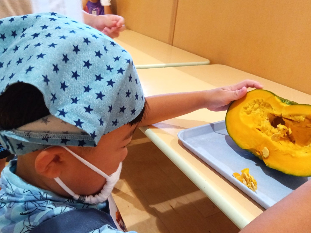 かぼちゃに触れる