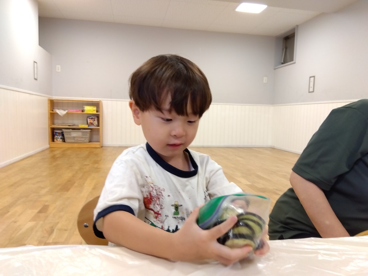 ポリ袋に入れて胡瓜の塩もみをする子ども