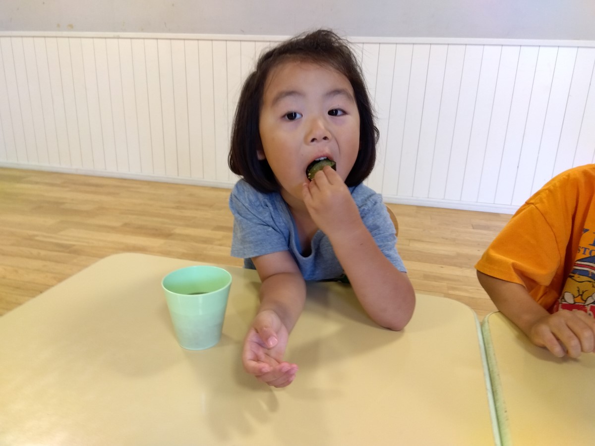 調理したきゅうりを食べる子ども