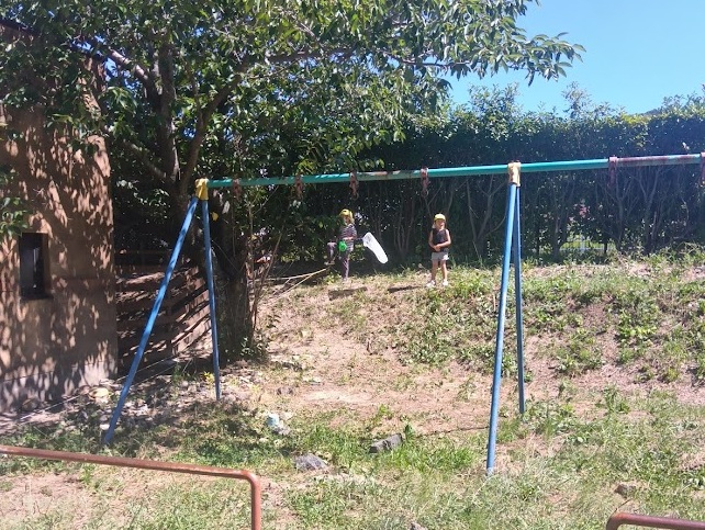 虫捕り網をもって虫を探す子どもたち