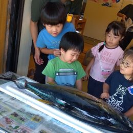子ども発達支援センターつむぎ 浦和美園「まぐろの解体ショー」