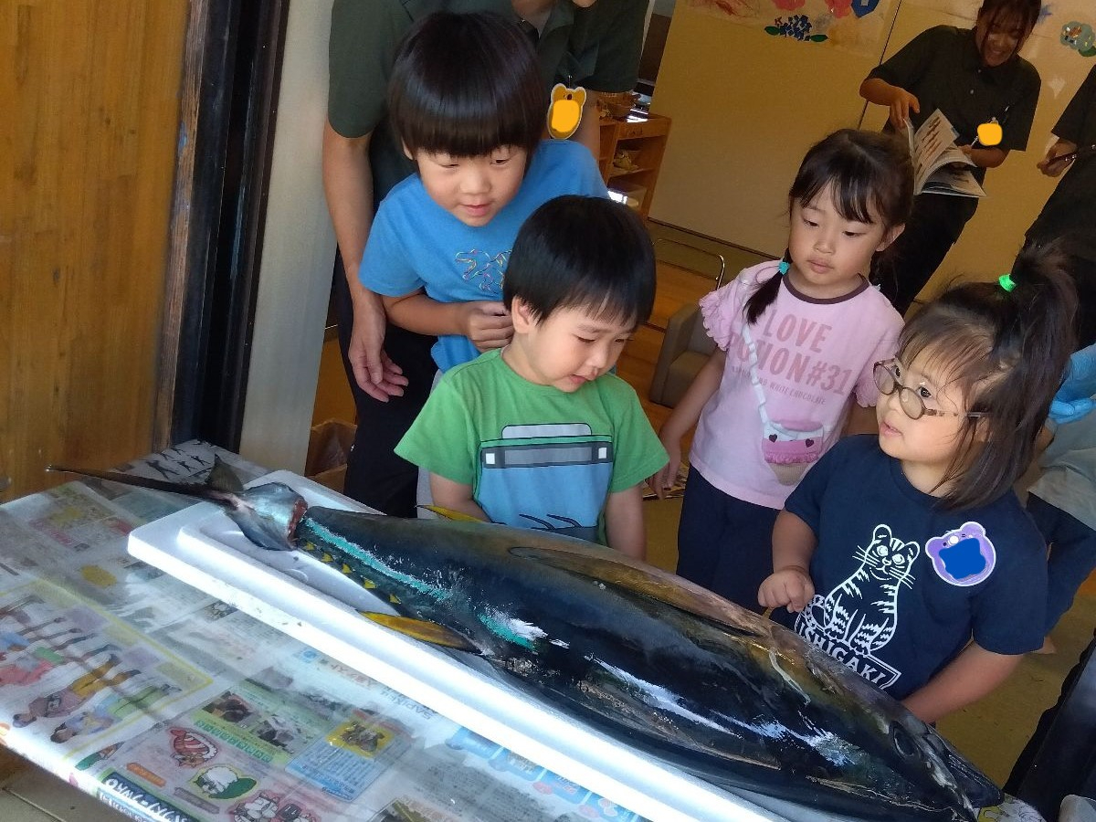 まぐろを間近で見る子どもたち