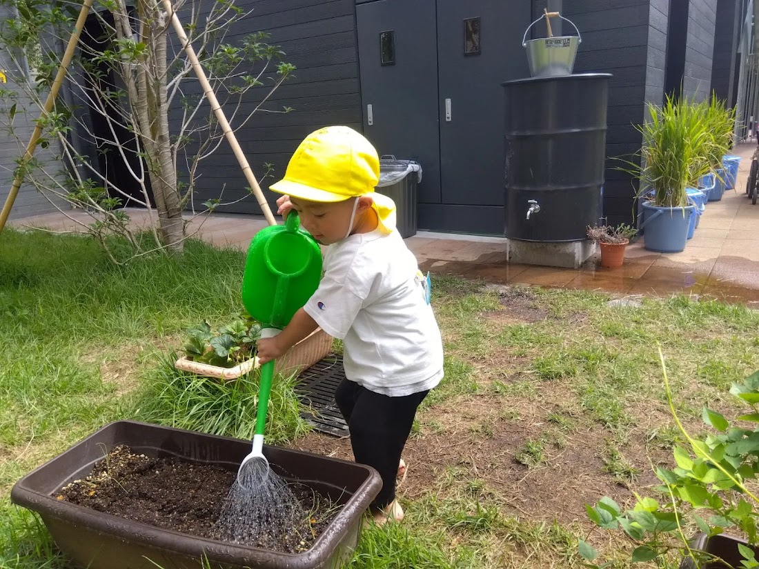 植物にジョウロで水をあげる子ども