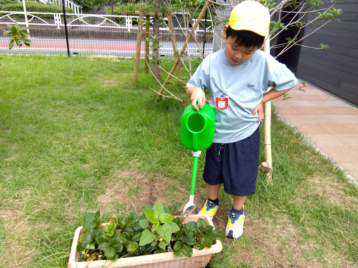 植物にジョウロで水をあげる子ども