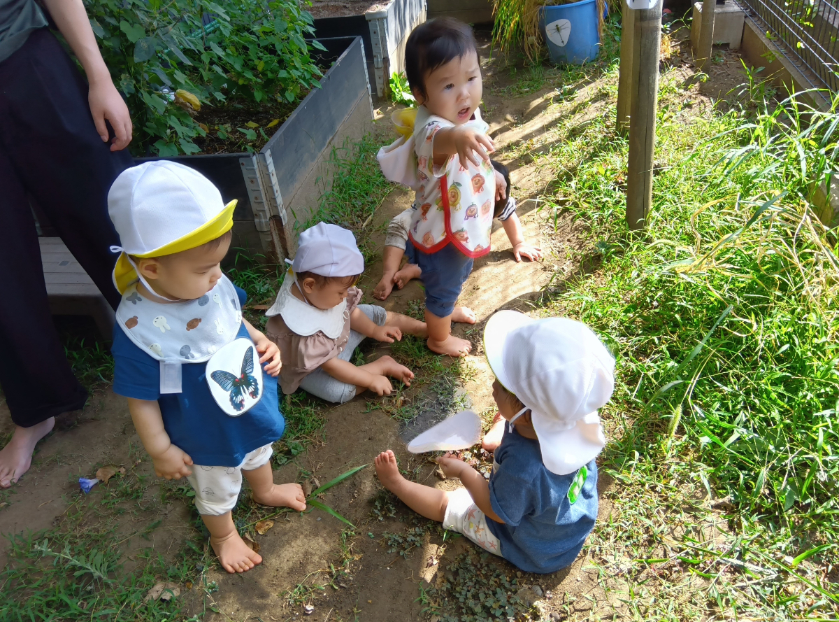 園庭で虫探しをする子どもたち