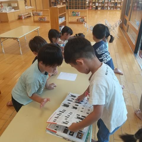 虫の図鑑を見る子どもたち