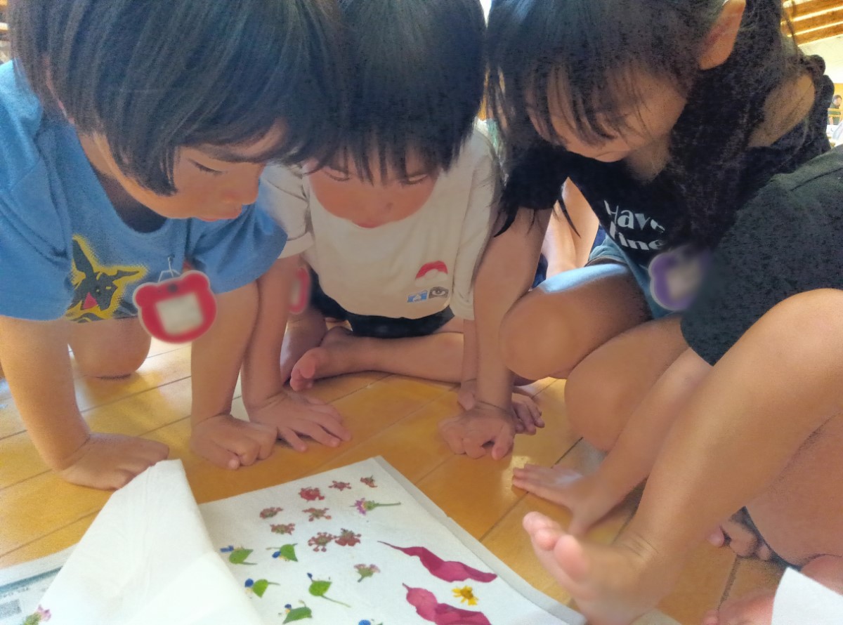 押し花に触れる子どもたち
