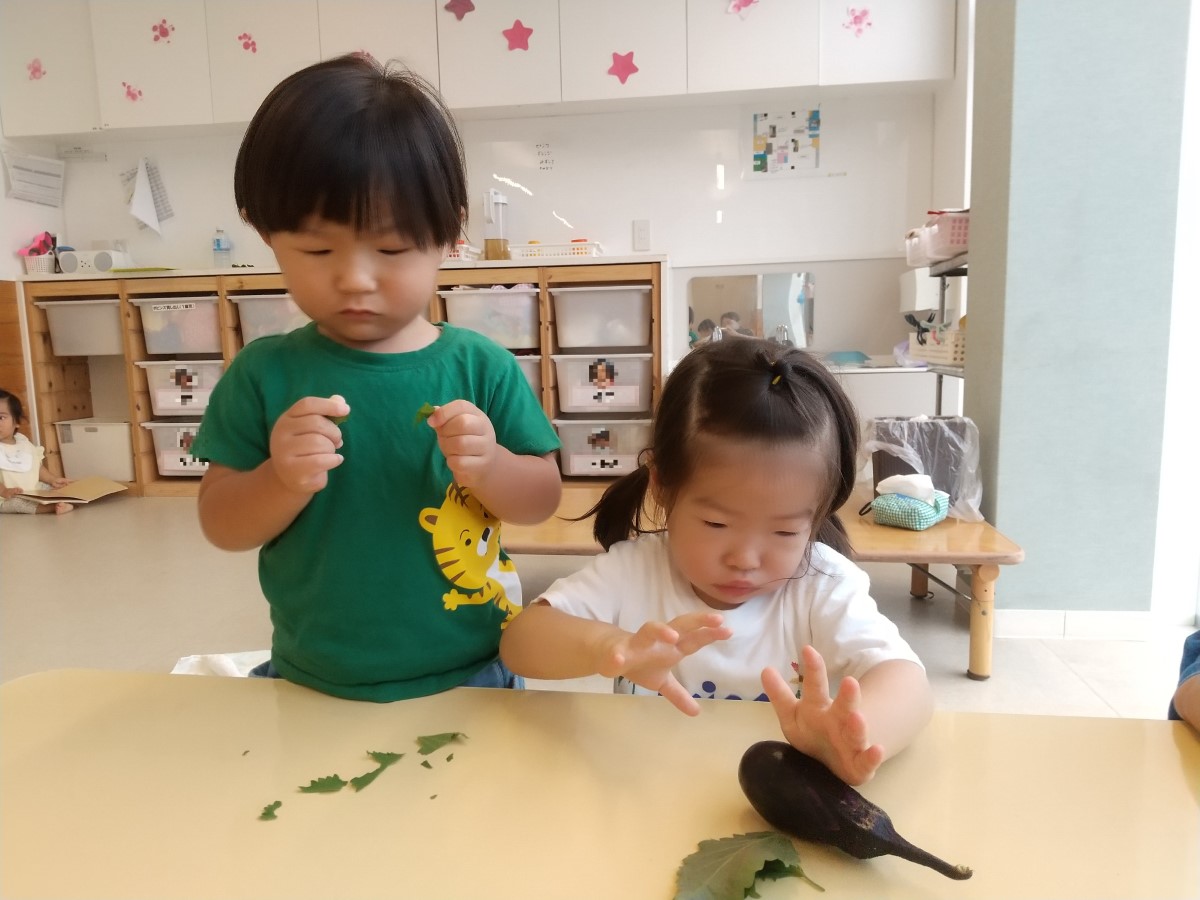 収穫した野菜に触れる子どもたち