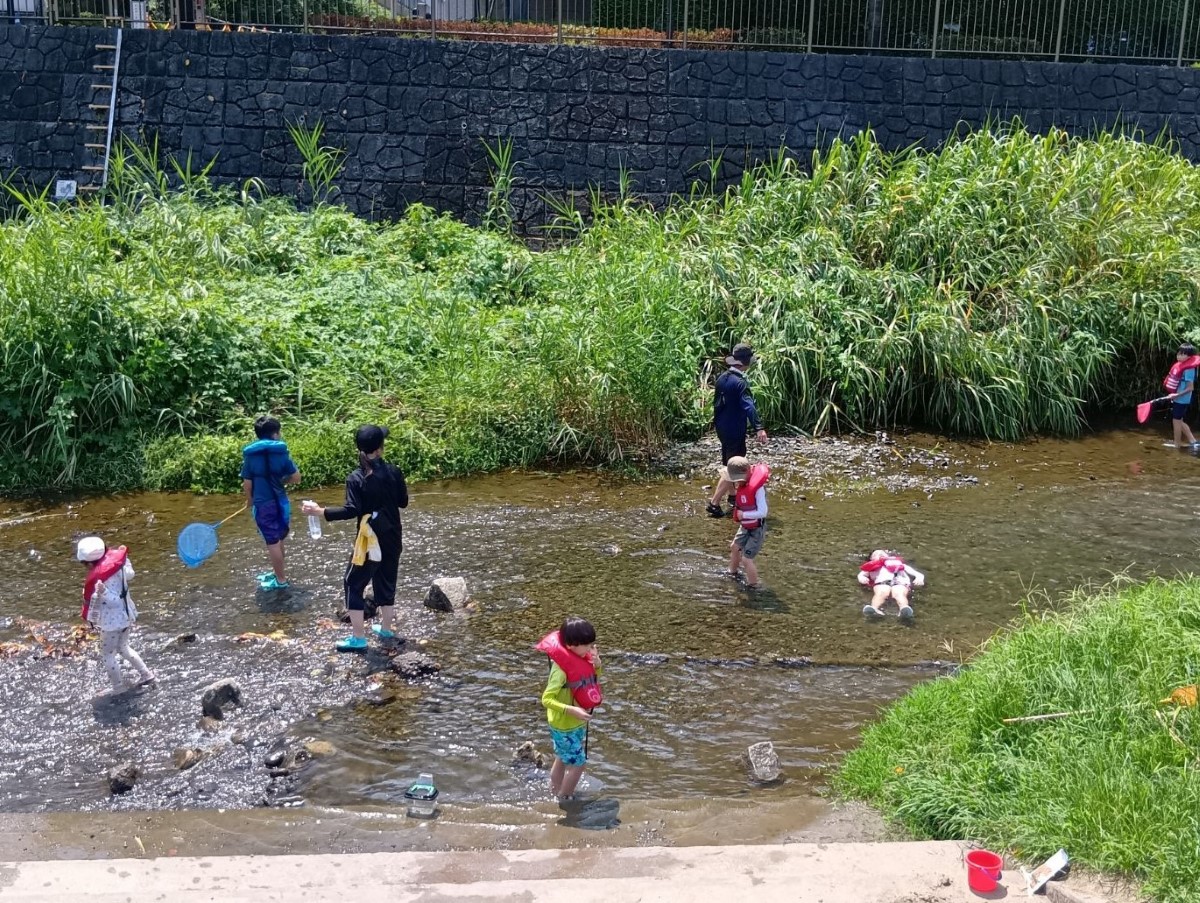 川遊びの様子