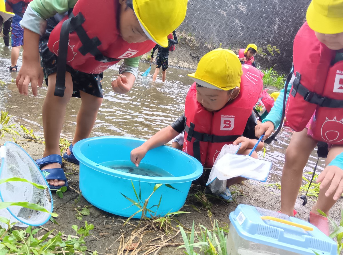 捕まえた生き物を観察する子どもたち