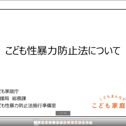 解説するこども家庭庁担当室長