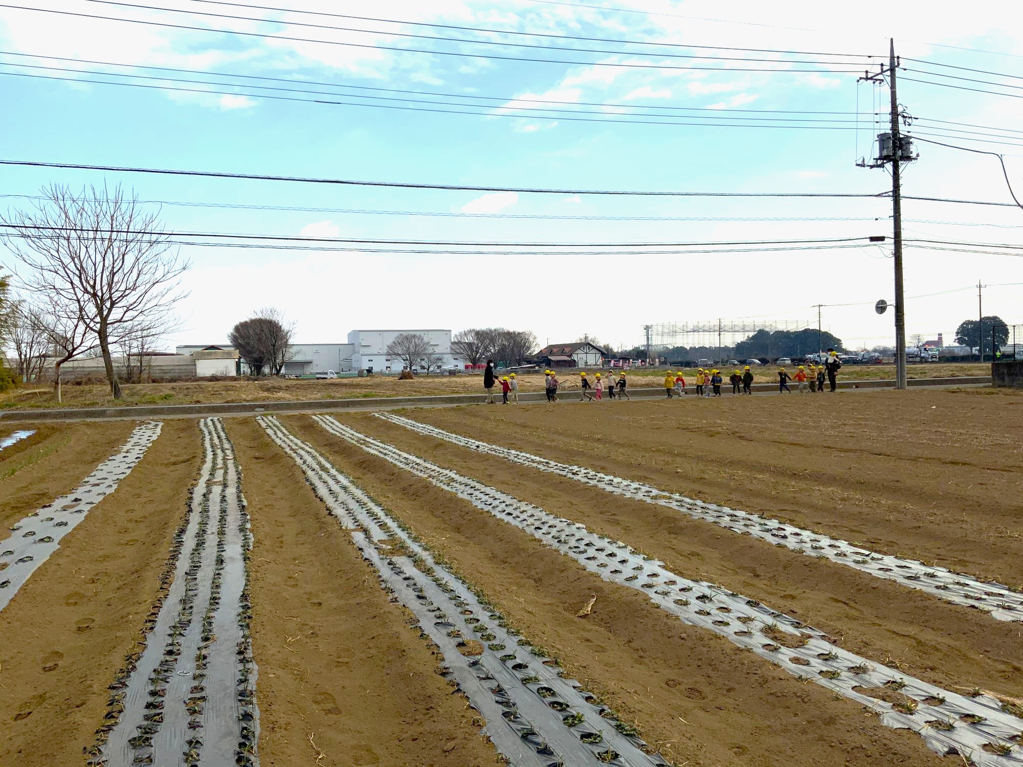 畑の横を散歩する子どもたち