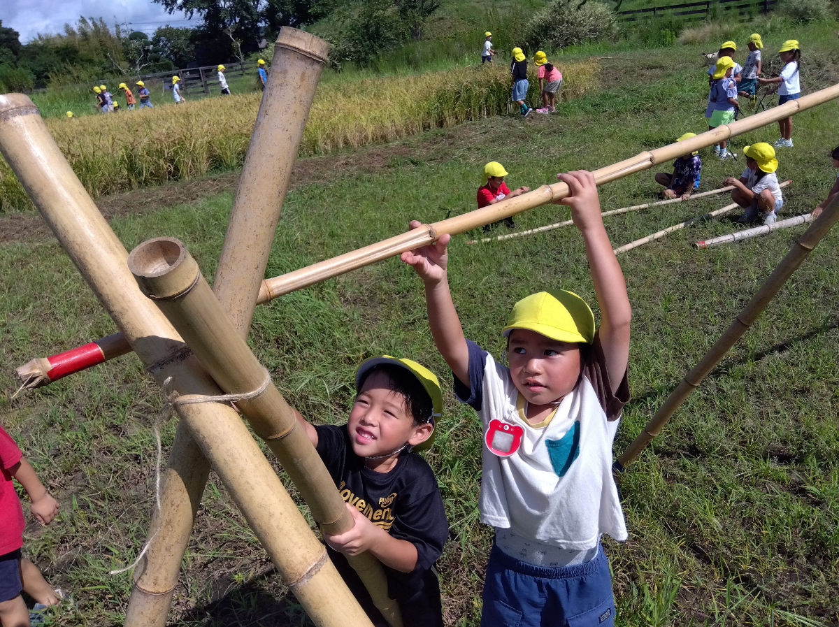 小田掛けの様子