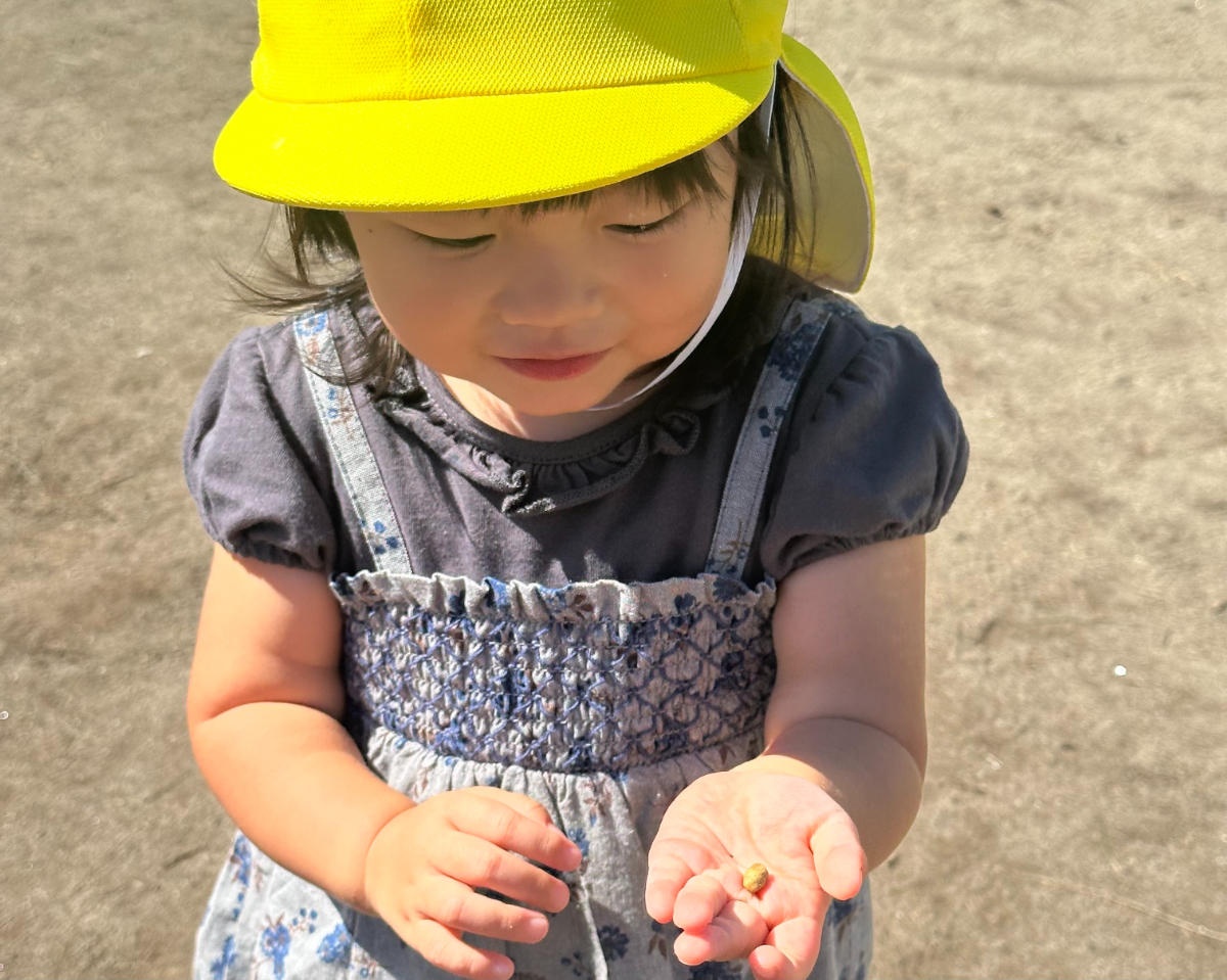 戸外で自然物を観察して遊ぶ子ども