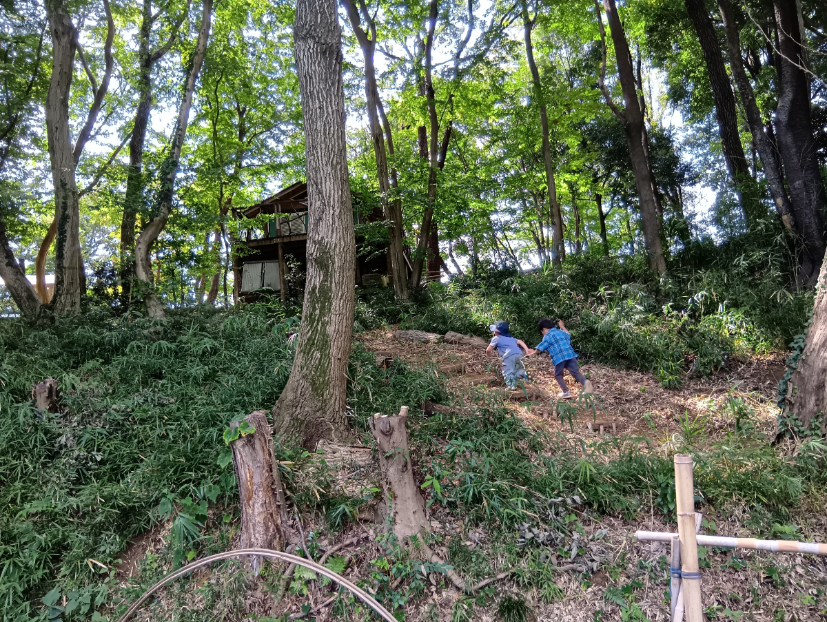 里山で駆け回る子どもたち