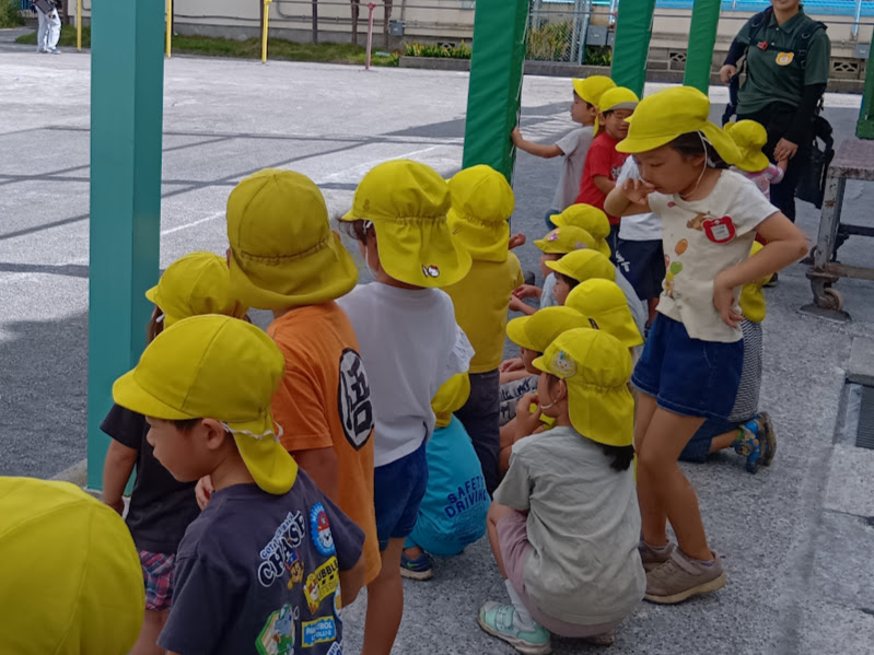 小学校の校庭を眺める子どもたち