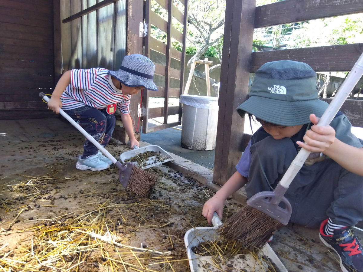ヤギ小屋を箒で掃除する子どもたち