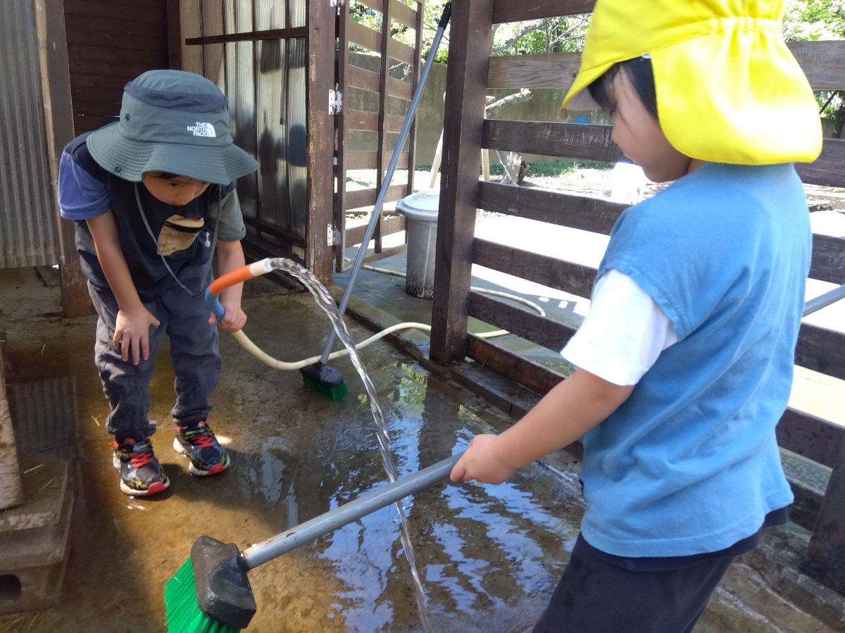 ホースで水をまき、ブラシでこする子どもたち