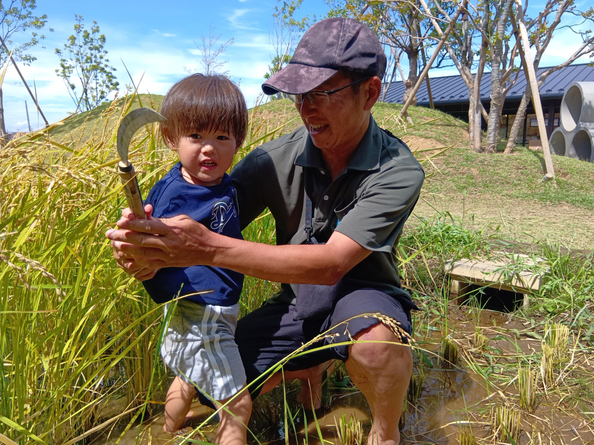 鎌の使い方を教わる子ども