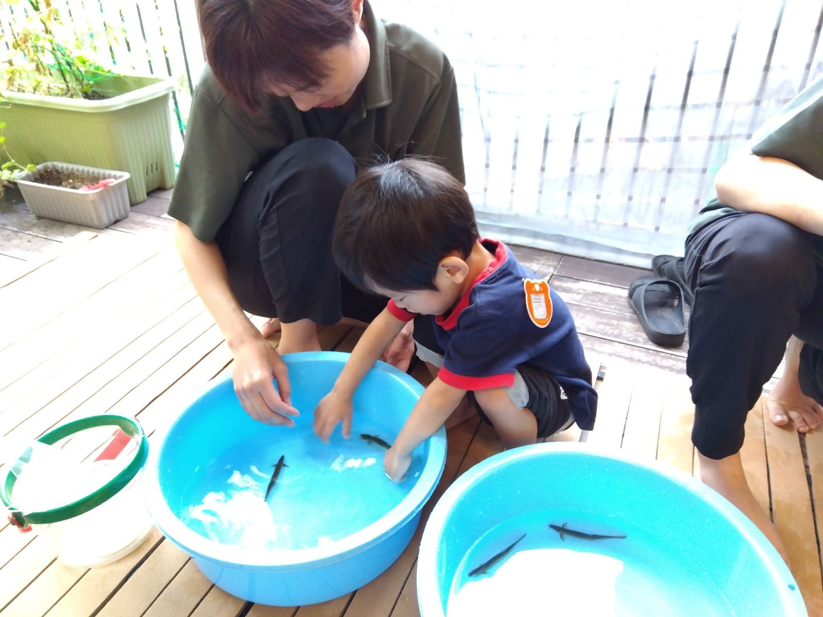 たらいに手を入れる子ども