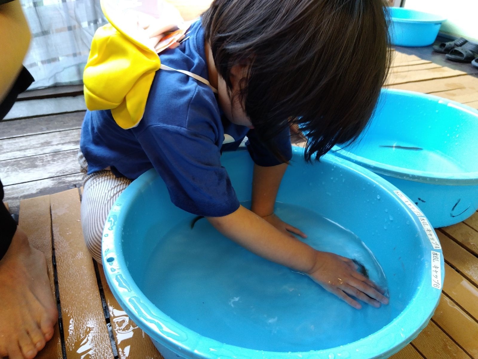 たらいのドジョウを捕まえようとする子ども