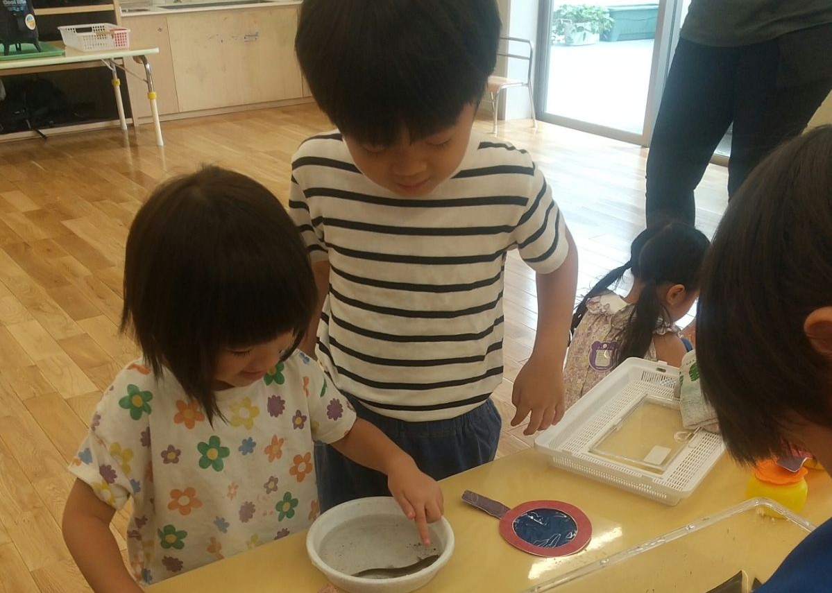 持ち帰ったドジョウを観察する子ども