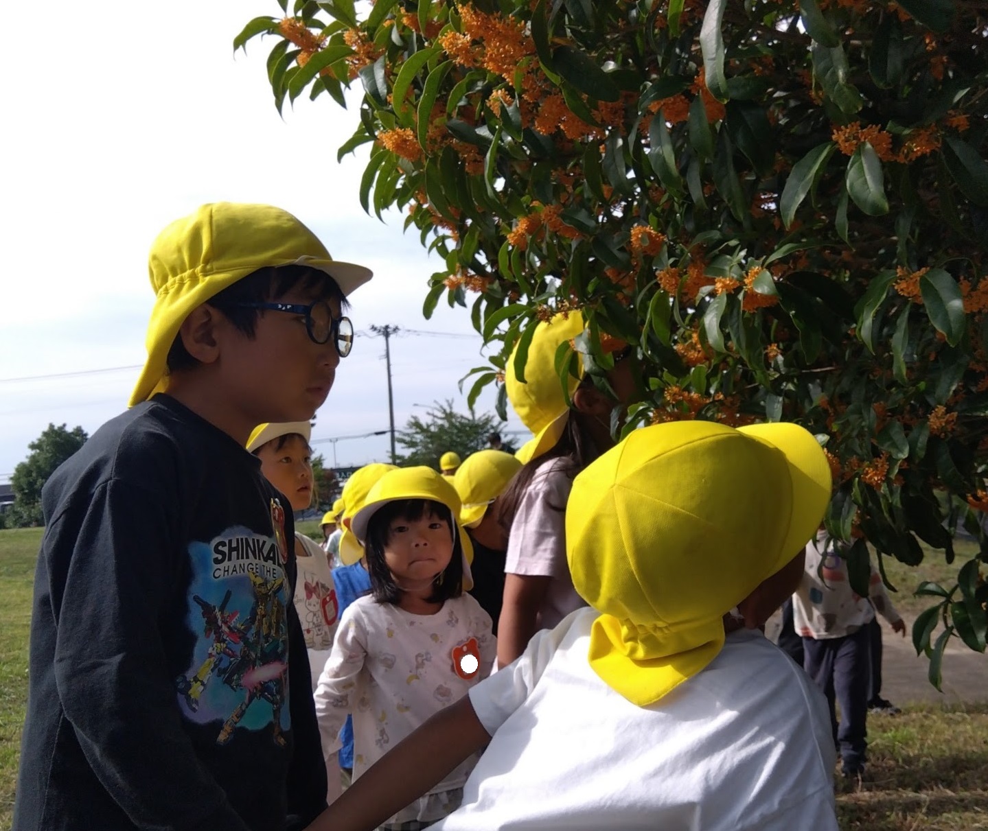 金木犀の香りを楽しむ子どもたち