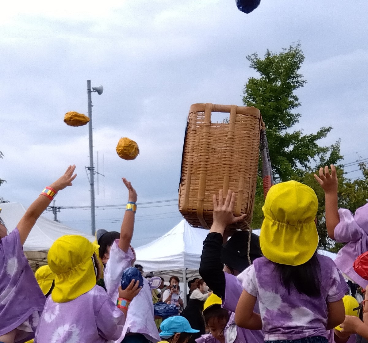 玉入れをする子どもたち