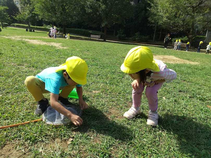 公園で虫捕りをする子どもたち