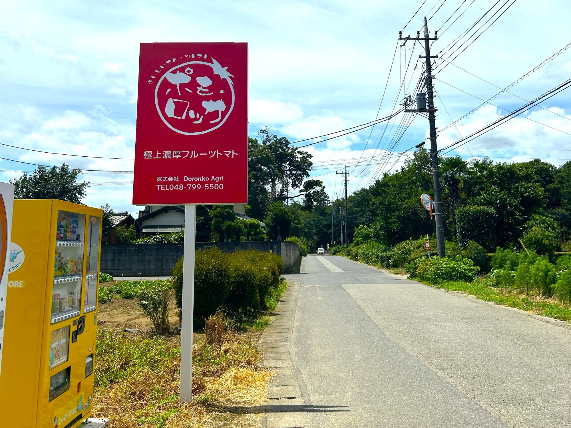 道路脇に立つポモロッサの看板