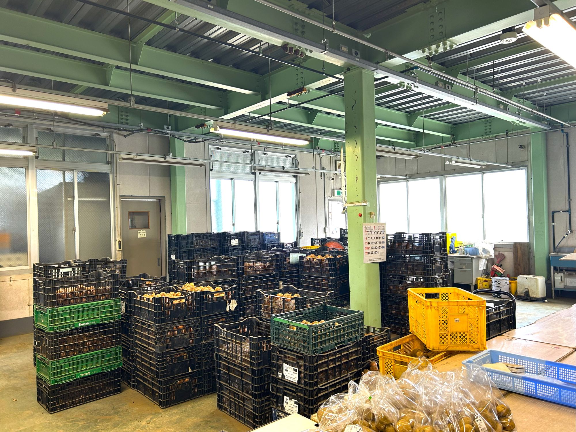 選果場内部