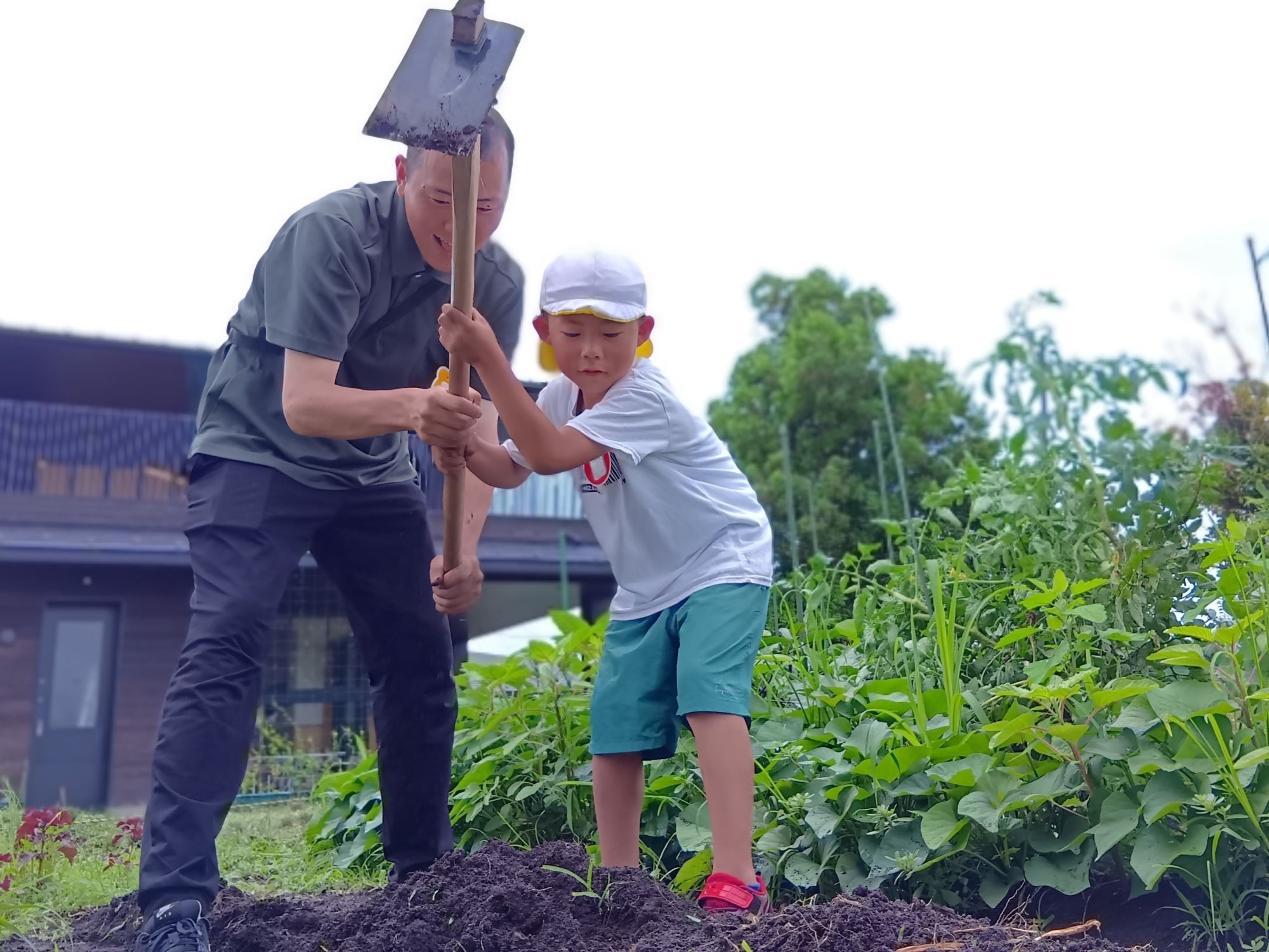 畑仕事をする子どもと保育士