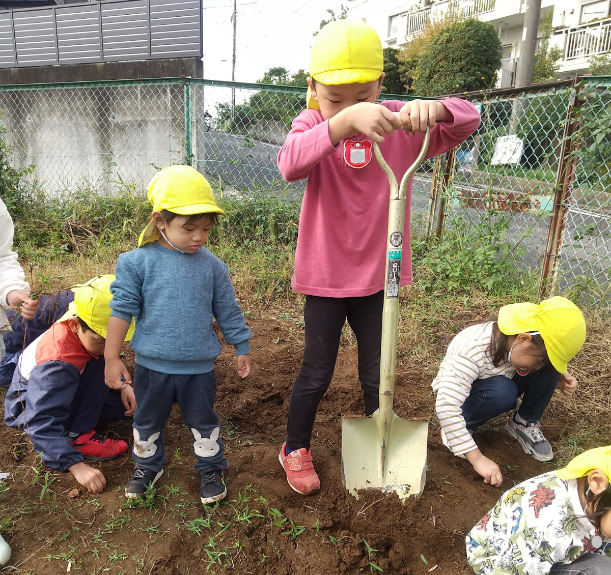 畑を耕したり、草むしりをしたりする子どもたち