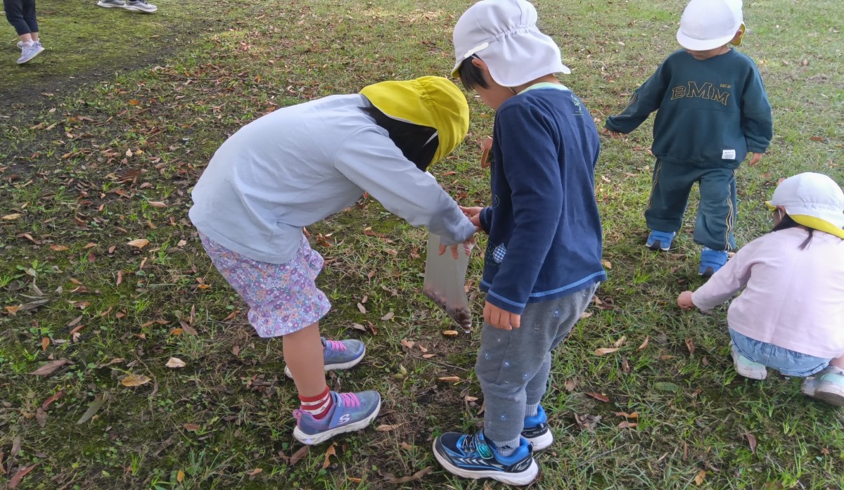 ビニール袋に木の実や落ち葉を集める子どもたち