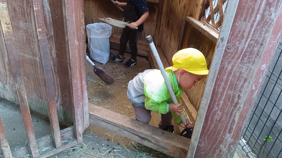 ヤギ小屋を掃除する子ども