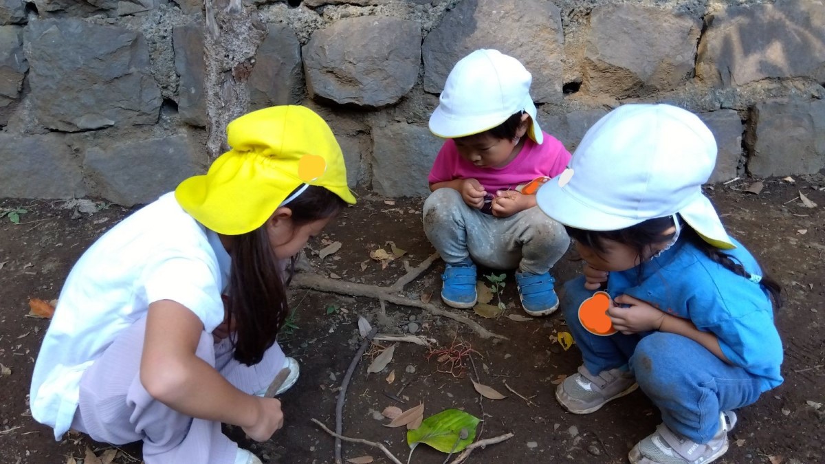 木の枝や落ち葉を集める子ども