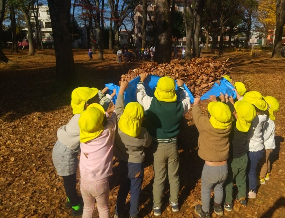 落ち葉をブルーシートに集める子どもたち