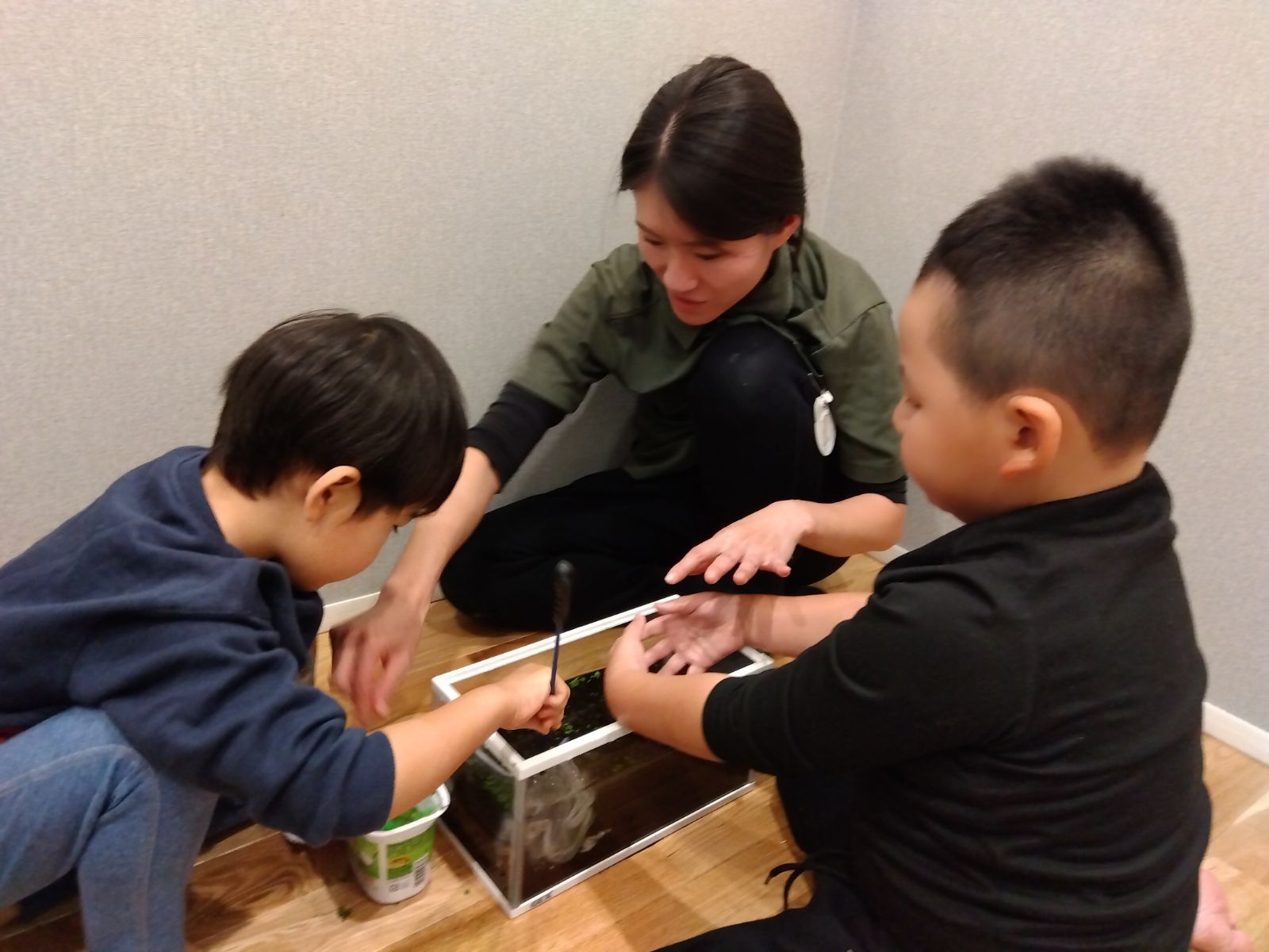 メダカの水槽の掃除をする子どもたち