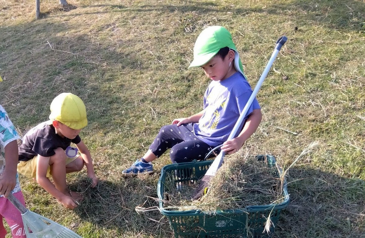 カゴに草を集める子どもたち
