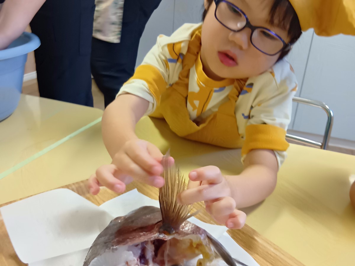 鯛のヒレに触れてみる子ども