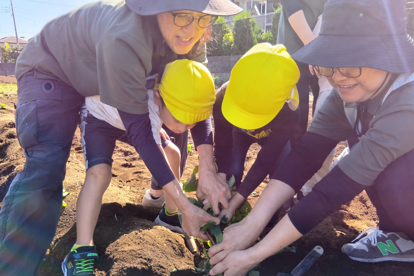 スタッフの手を借りながら芋掘りをする子どもたち