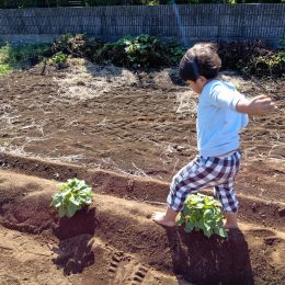 発達支援つむぎ 田無「芋堀り」