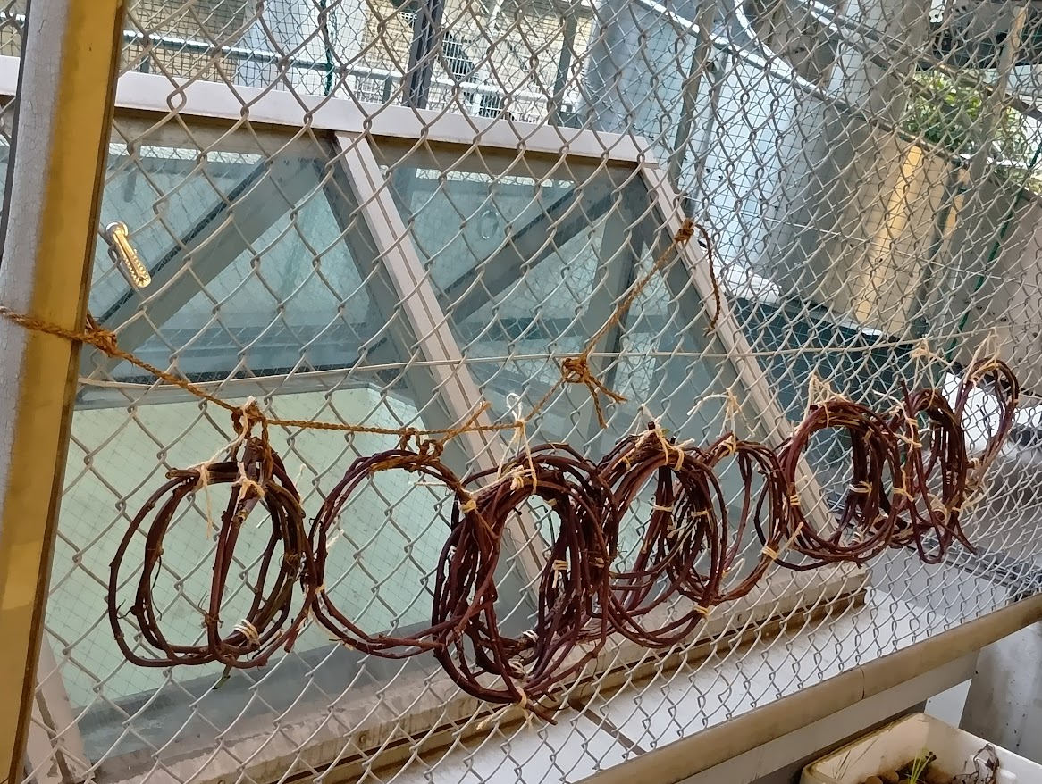 芋のつるを使って作ったリース