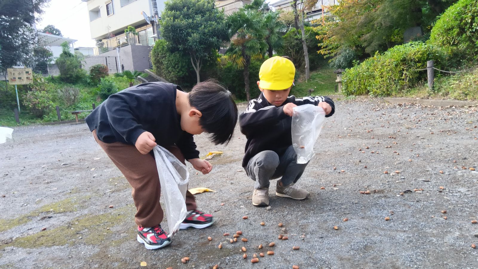 落ち葉をビニール袋に集める子どもたち