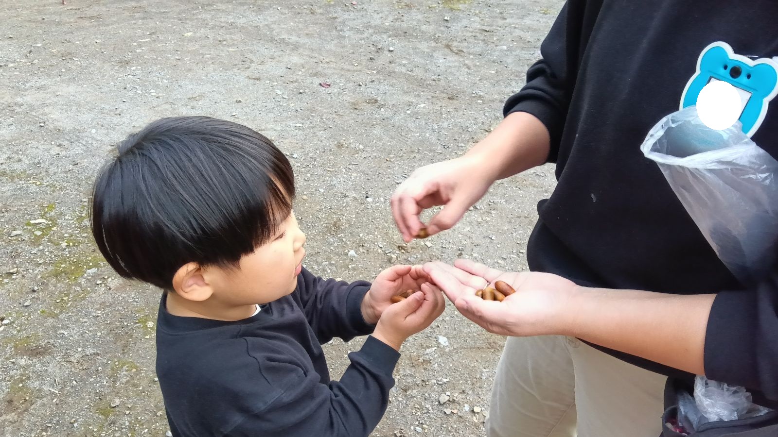 スタッフからどんぐりを受け取る子ども