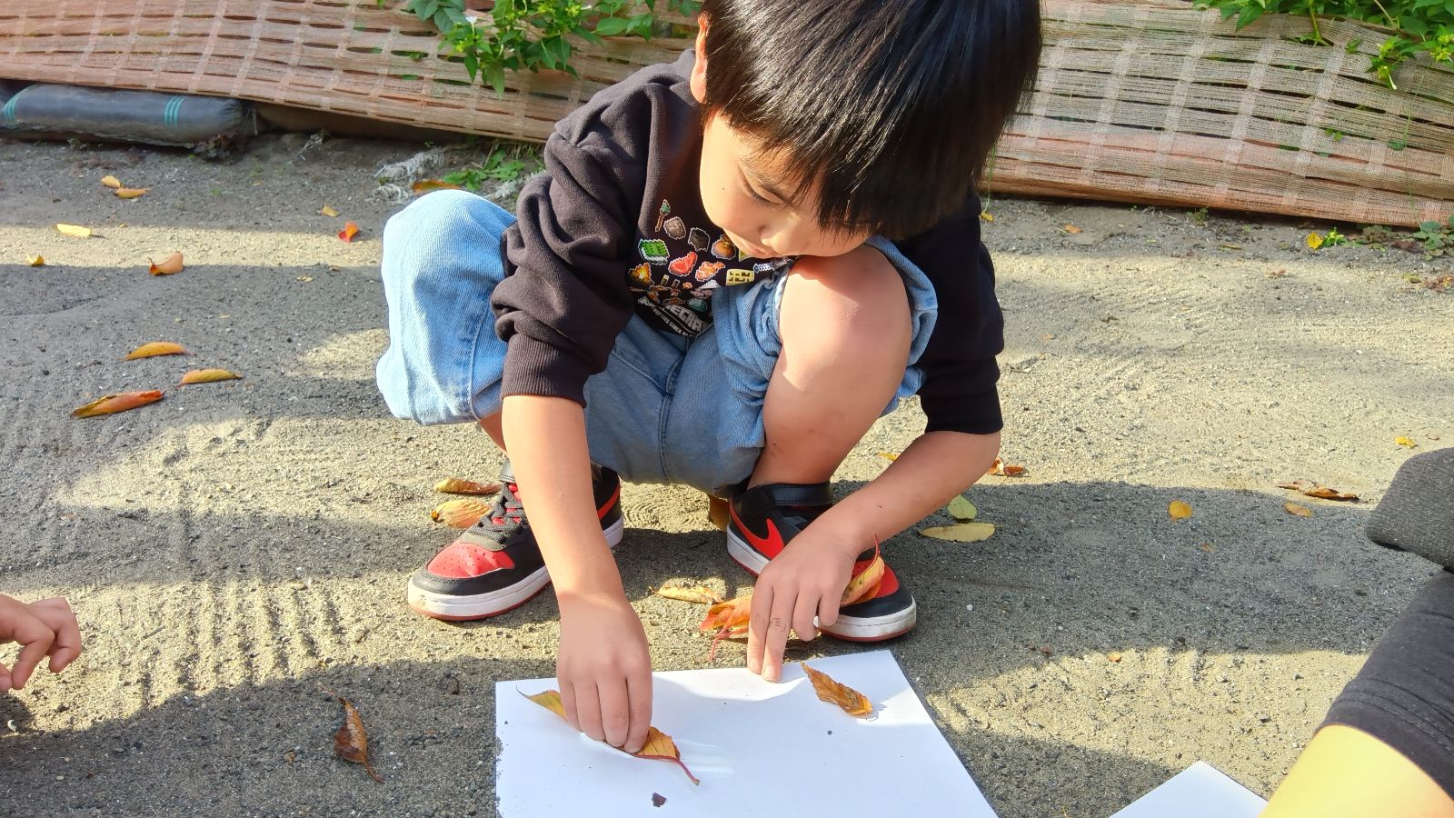 紙の上に落ち葉を並べる子ども