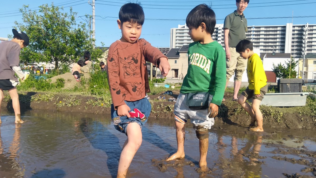 田んぼの中を歩く子どもたち