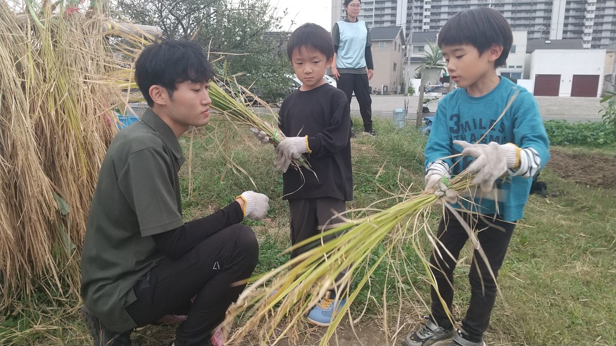 刈り取った稲を運ぶ子どもたち