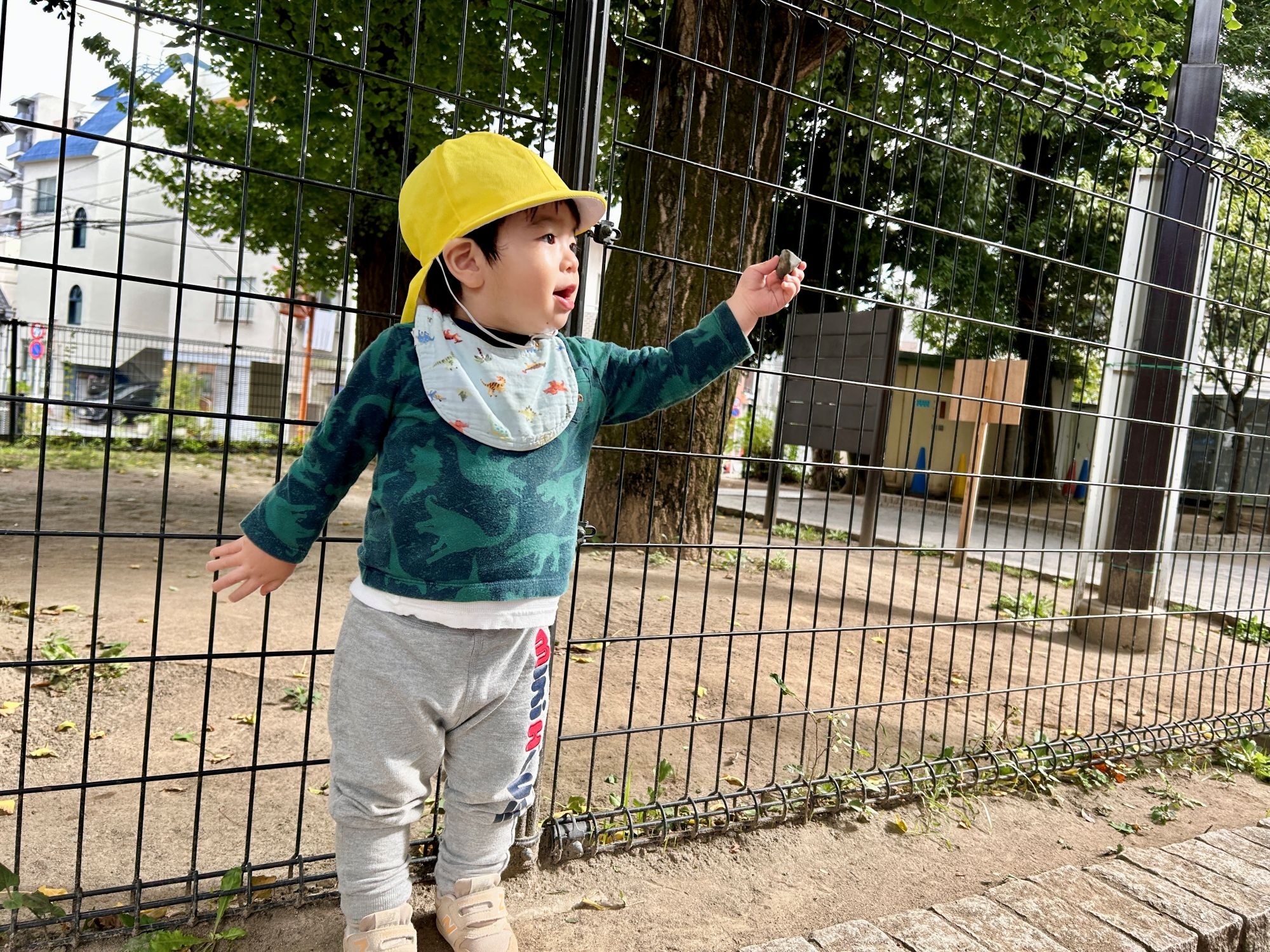 公園で小石を拾う園児